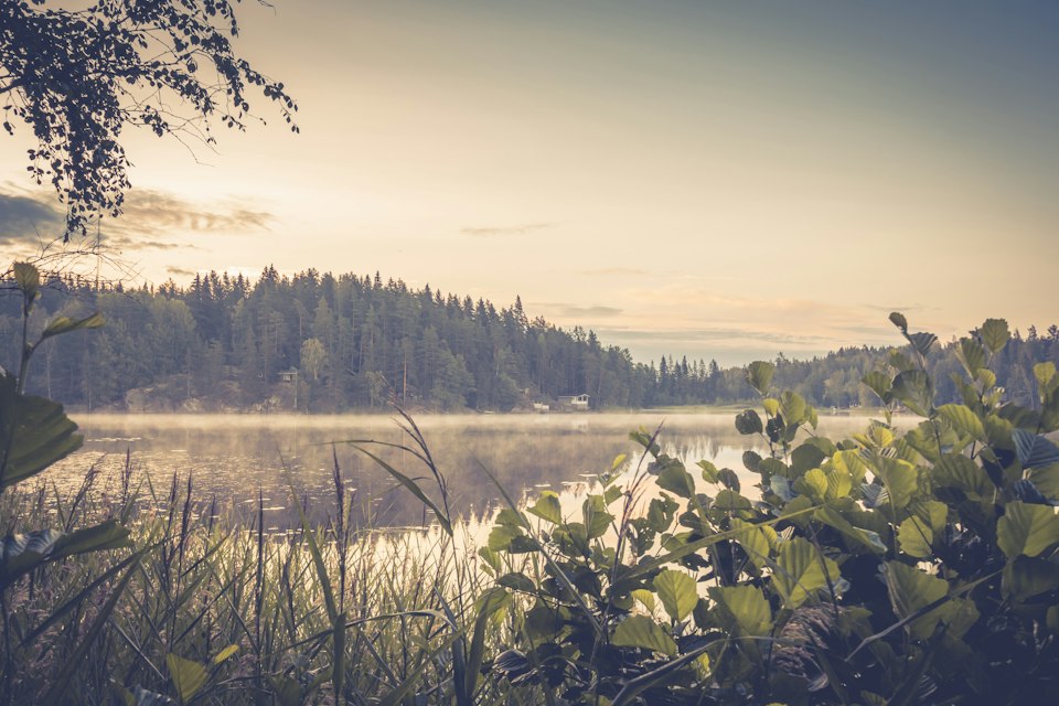 Morgennebel und weiches Licht über einem See in Myrskylä, Finnland