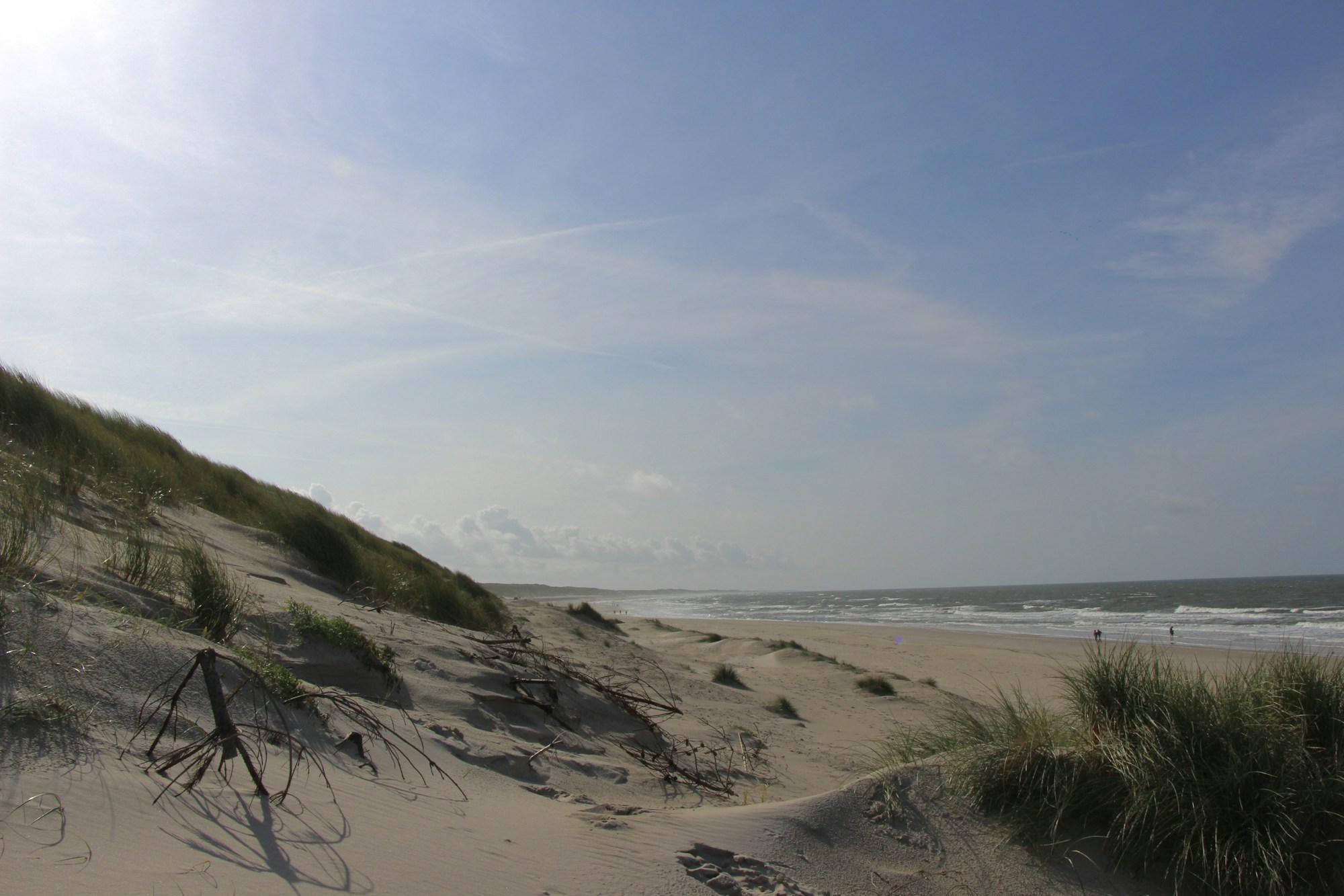Dünen und breiter Sandstrand bei Hvide Sande in Dänemark