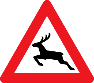 Dänemark A26 – Warnung vor Wildwechsel