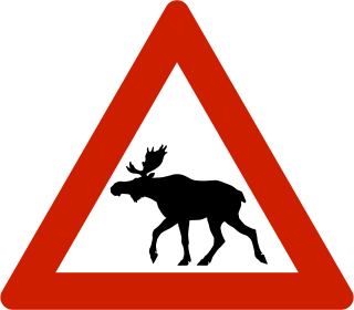 Norwegen 146.1 – Wildwechsel mit Elchsymbol